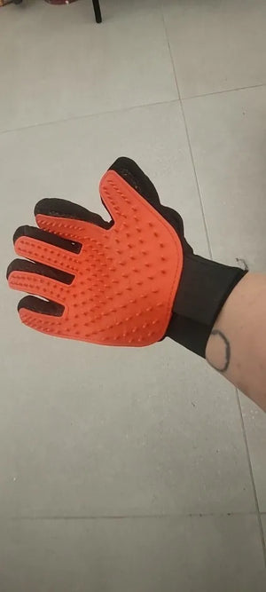 A5b344113d794475889d4c22822a77befh.jpg